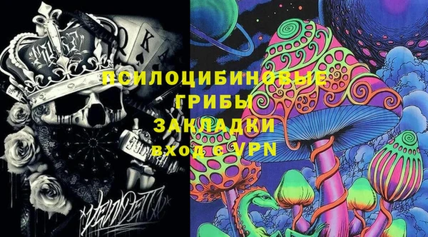 мдпв Тобольск