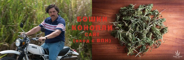 спайс Белокуриха
